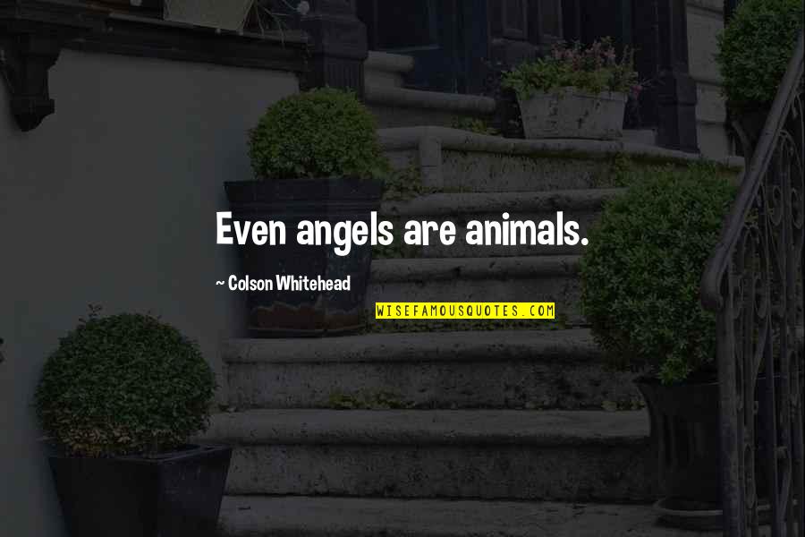 Animals Are Angels Quotes By Colson Whitehead: Even angels are animals.