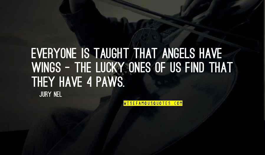 Animals Are Angels Quotes By Jury Nel: Everyone is taught that angels have wings -