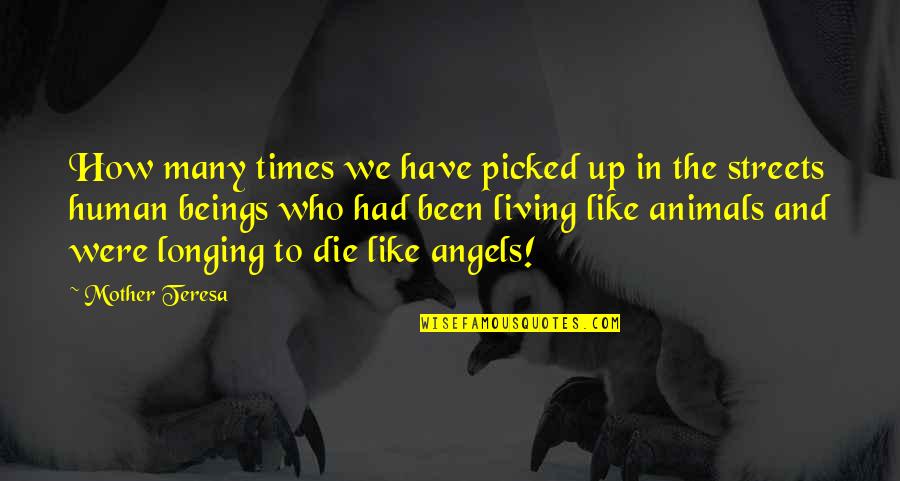 Animals Are Angels Quotes By Mother Teresa: How many times we have picked up in