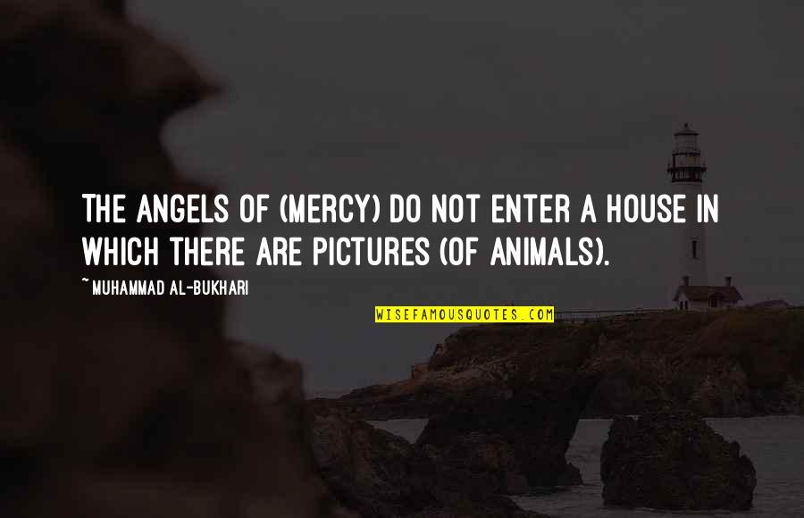 Animals Are Angels Quotes By Muhammad Al-Bukhari: The Angels of (Mercy) do not enter a