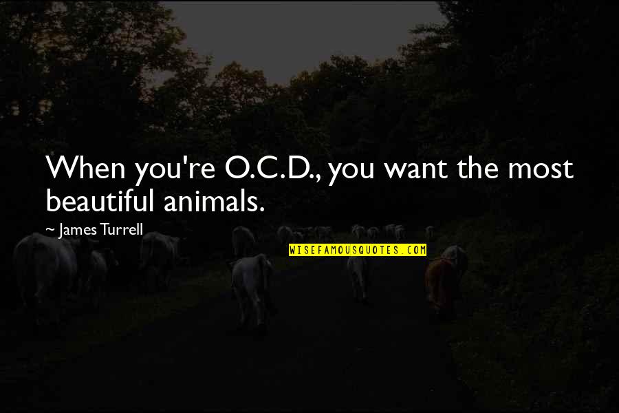 Animals Are Beautiful Quotes By James Turrell: When you're O.C.D., you want the most beautiful Animals Are Beautiful Quotes By James Turrell: When you're O.C.D., you want the most beautiful