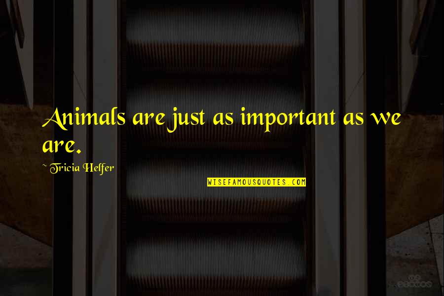 Animals Are Important Quotes By Tricia Helfer: Animals are just as important as we are.