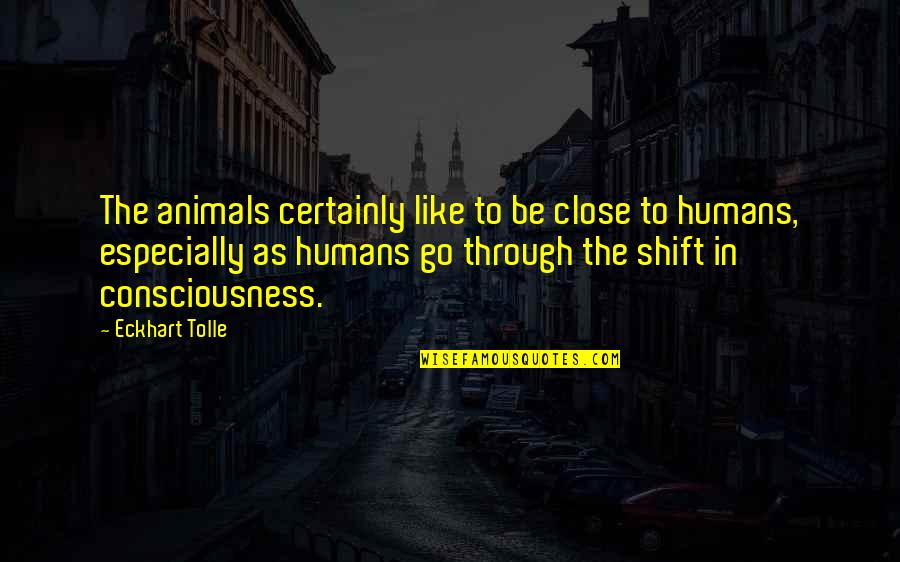 Animals Are Like Humans Quotes By Eckhart Tolle: The animals certainly like to be close to