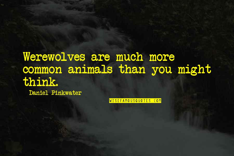 Animals Are Quotes By Daniel Pinkwater: Werewolves are much more common animals than you