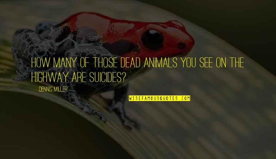 Animals Are Quotes By Dennis Miller: How many of those dead animals you see