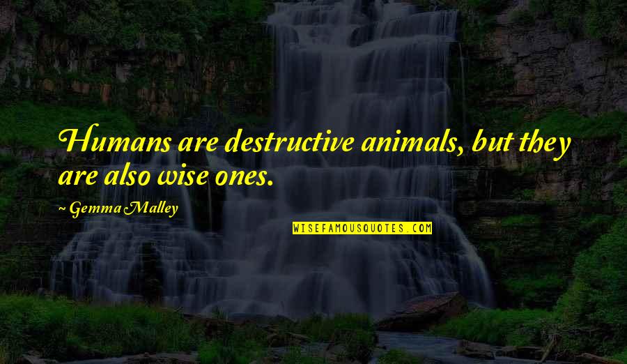 Animals Are Quotes By Gemma Malley: Humans are destructive animals, but they are also