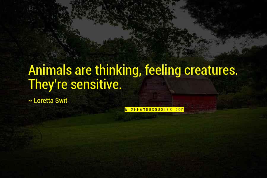 Animals Are Quotes By Loretta Swit: Animals are thinking, feeling creatures. They're sensitive.