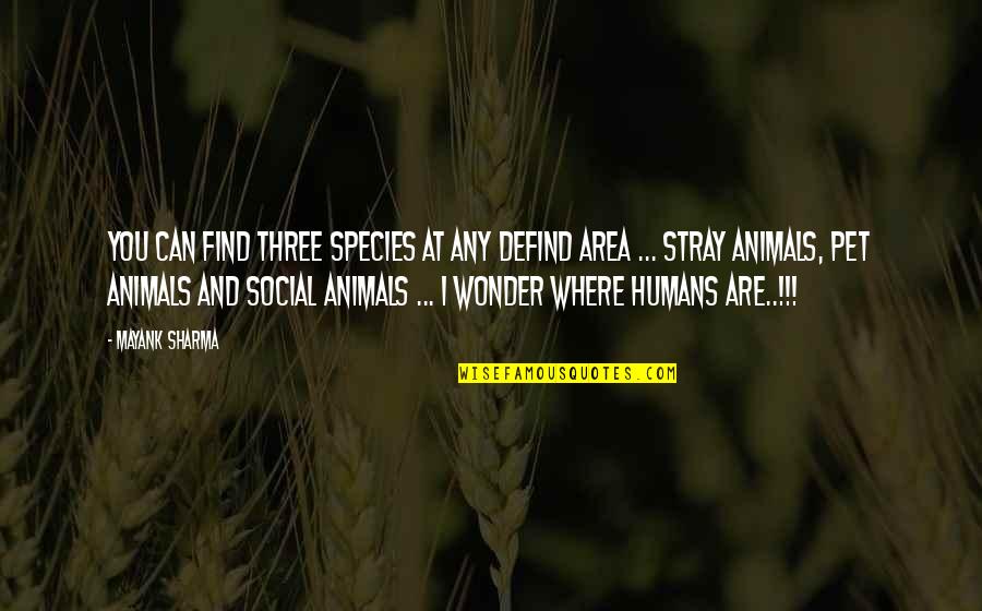 Animals Are Quotes By Mayank Sharma: You can find three species at any defind