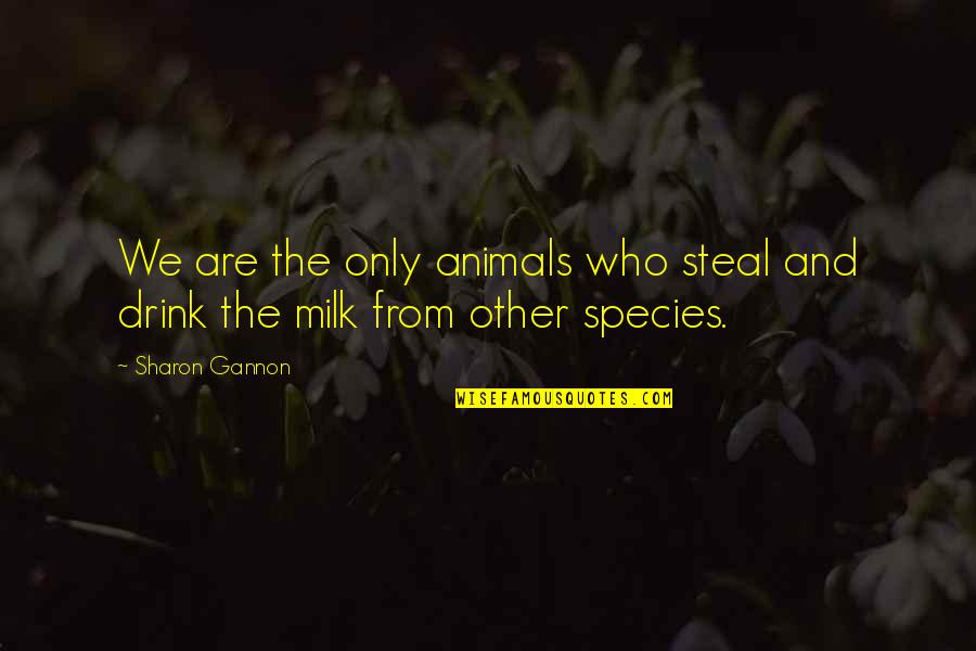 Animals Are Quotes By Sharon Gannon: We are the only animals who steal and