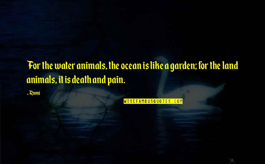 Animals Death Quotes By Rumi: For the water animals, the ocean is like