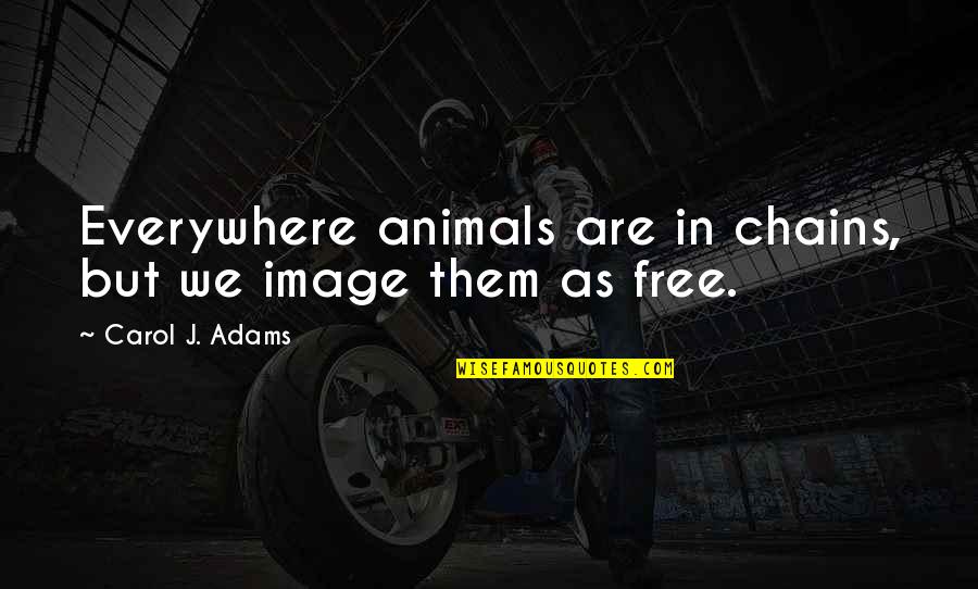 Animals In Quotes By Carol J. Adams: Everywhere animals are in chains, but we image