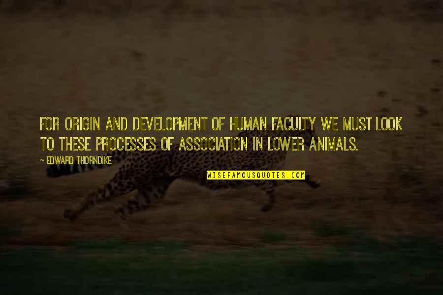 Animals In Quotes By Edward Thorndike: For origin and development of human faculty we