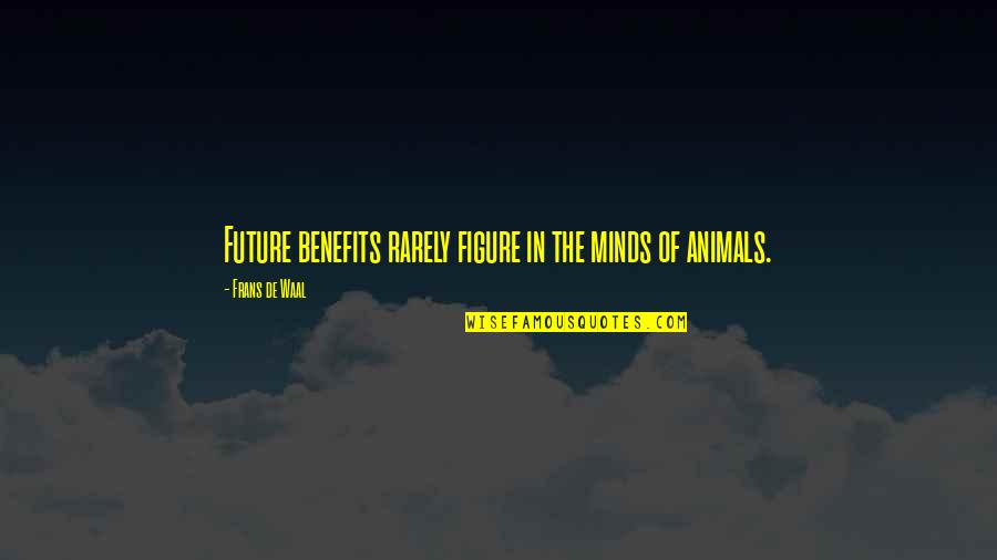 Animals In Quotes By Frans De Waal: Future benefits rarely figure in the minds of