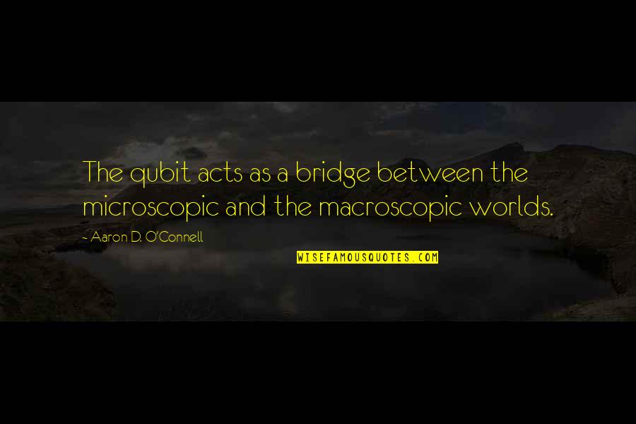 Animals In Shelters Quotes By Aaron D. O'Connell: The qubit acts as a bridge between the Animals In Shelters Quotes By Aaron D. O'Connell: The qubit acts as a bridge between the