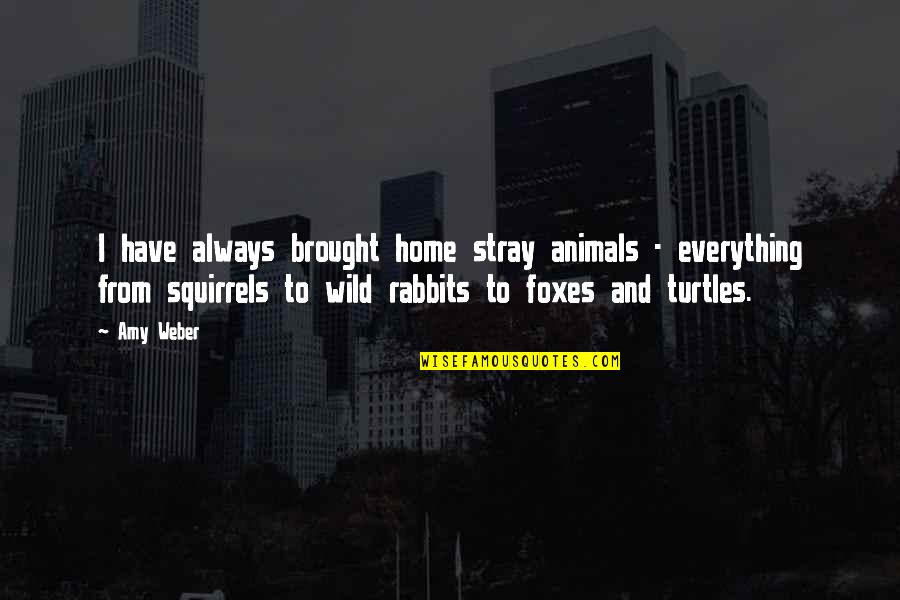 Animals In The Wild Quotes By Amy Weber: I have always brought home stray animals -