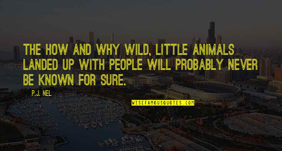 Animals In The Wild Quotes By P.J. Nel: The how and why wild, little animals landed