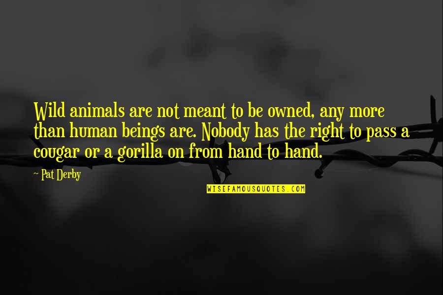 Animals In The Wild Quotes By Pat Derby: Wild animals are not meant to be owned,