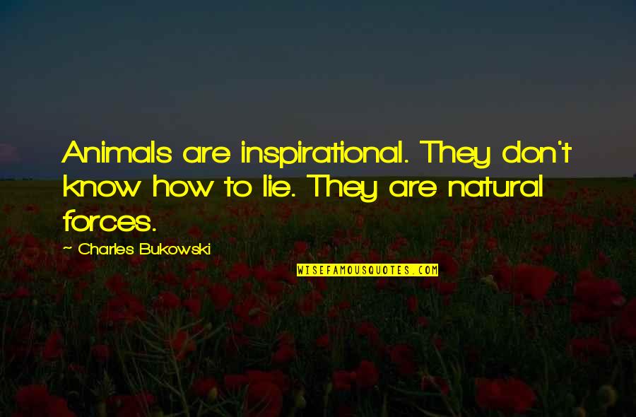 Animals Inspirational Quotes By Charles Bukowski: Animals are inspirational. They don't know how to