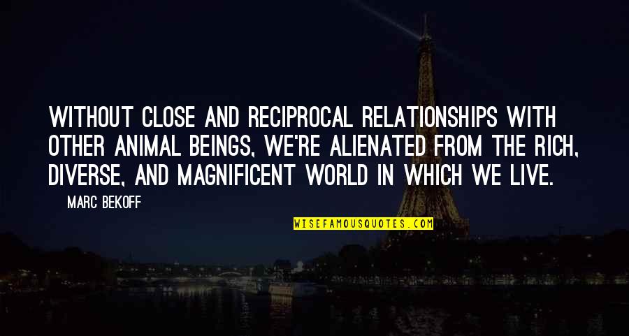 Animals Inspirational Quotes By Marc Bekoff: Without close and reciprocal relationships with other animal