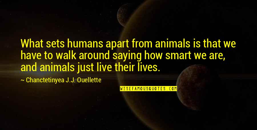 Animals Intelligence Quotes By Chanctetinyea J.J. Ouellette: What sets humans apart from animals is that