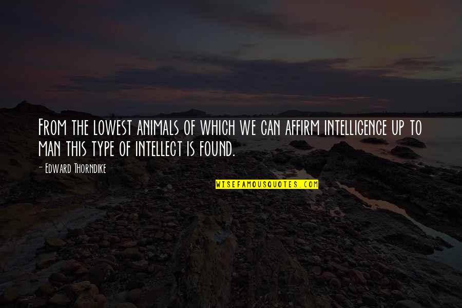 Animals Intelligence Quotes By Edward Thorndike: From the lowest animals of which we can
