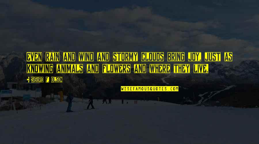 Animals Just Quotes By Sigurd F. Olson: Even rain and wind and stormy clouds bring