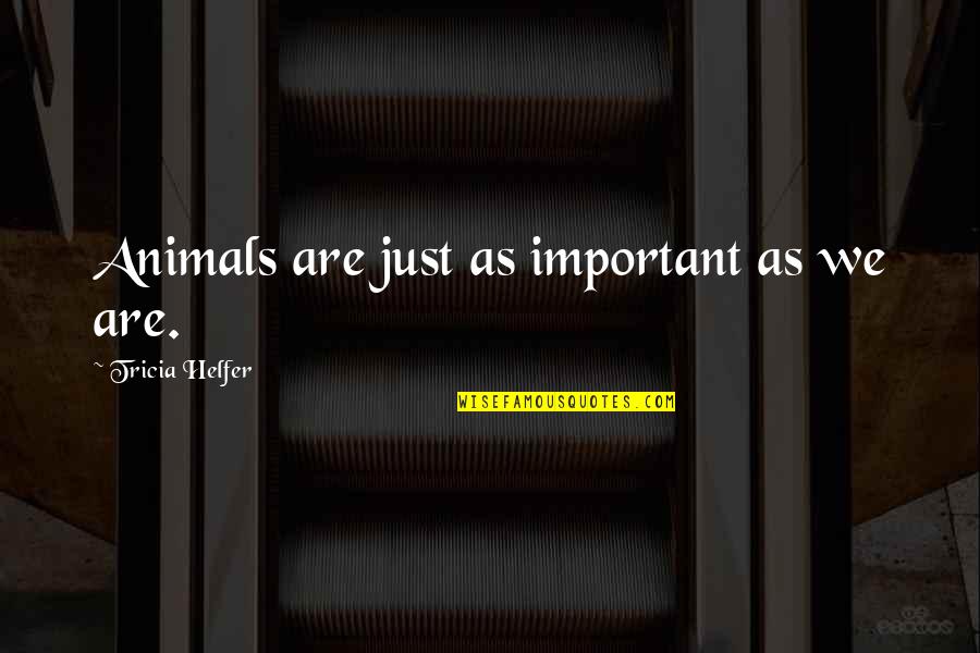 Animals Just Quotes By Tricia Helfer: Animals are just as important as we are.