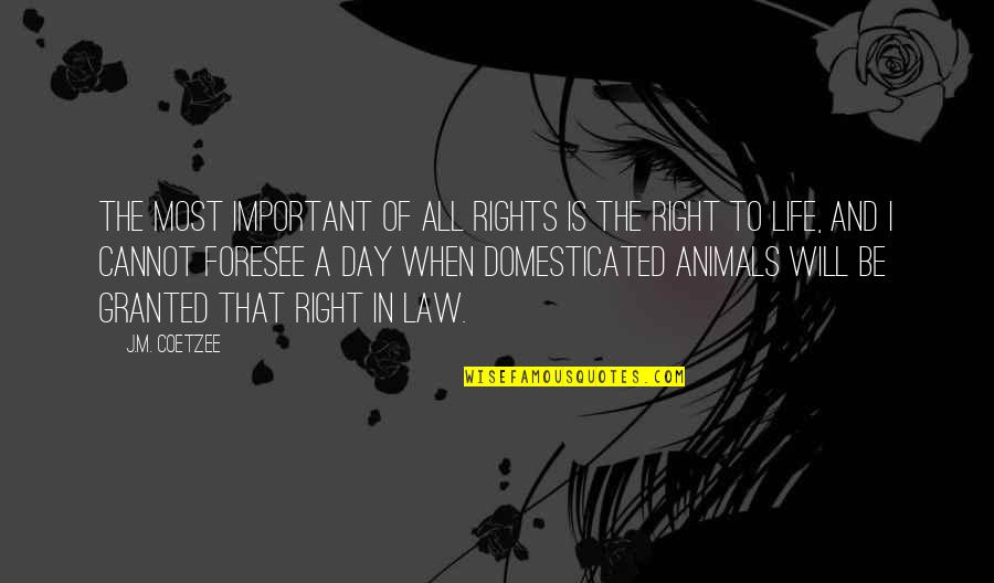 Animals Rights Quotes By J.M. Coetzee: The most important of all rights is the