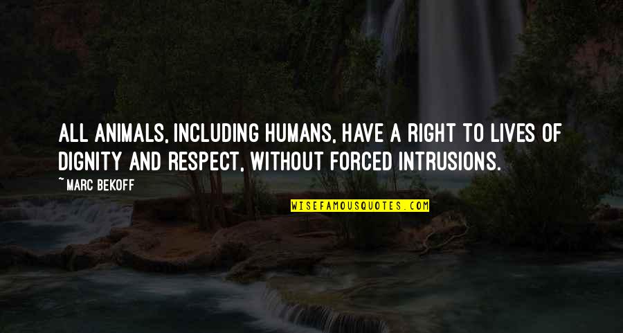 Animals Rights Quotes By Marc Bekoff: All animals, including humans, have a right to