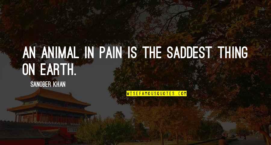 Animals Rights Quotes By Sanober Khan: An animal in pain is the saddest thing