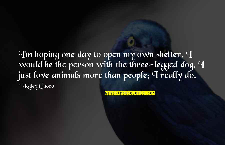 Animals Shelter Quotes By Kaley Cuoco: I'm hoping one day to open my own