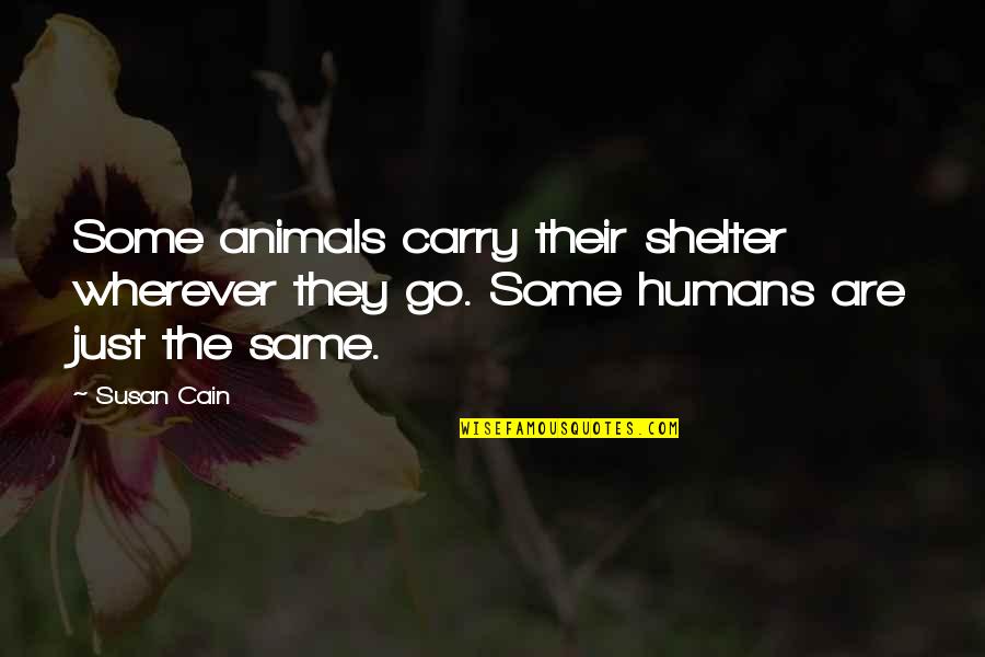 Animals Shelter Quotes By Susan Cain: Some animals carry their shelter wherever they go.