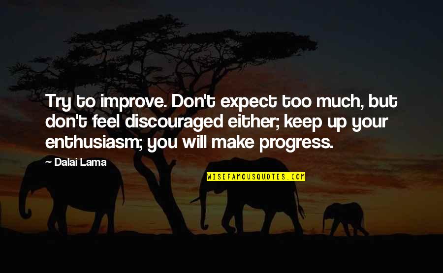 Anime Artist Quotes By Dalai Lama: Try to improve. Don't expect too much, but