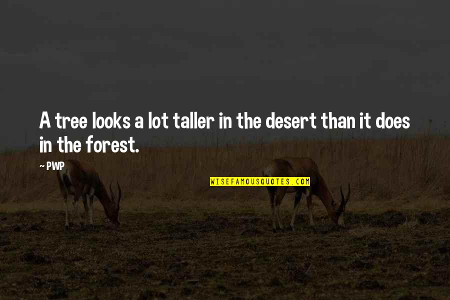 Anio Quotes By PWP: A tree looks a lot taller in the