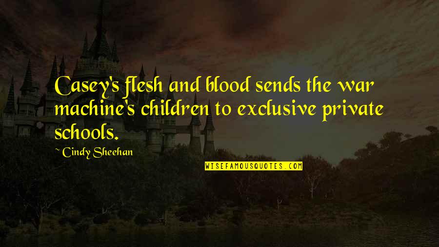 Aniquilar Significado Quotes By Cindy Sheehan: Casey's flesh and blood sends the war machine's