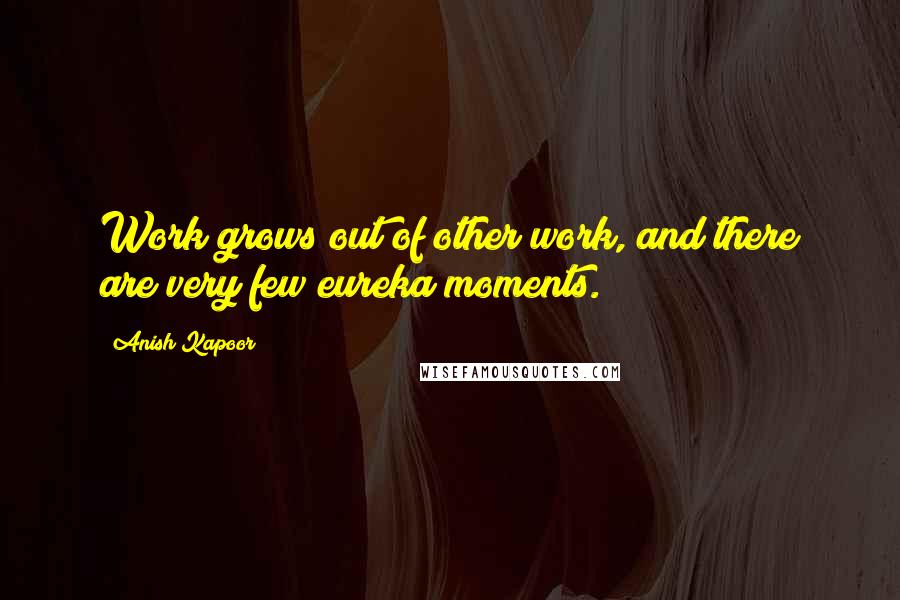 Anish Kapoor quotes: Work grows out of other work, and there are very few eureka moments.