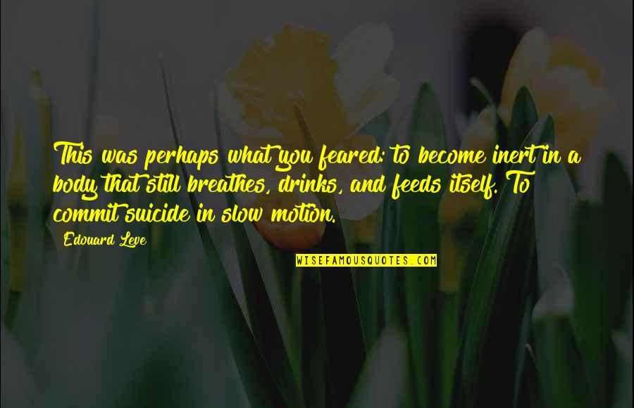 Anisoara Munteanu Quotes By Edouard Leve: This was perhaps what you feared: to become