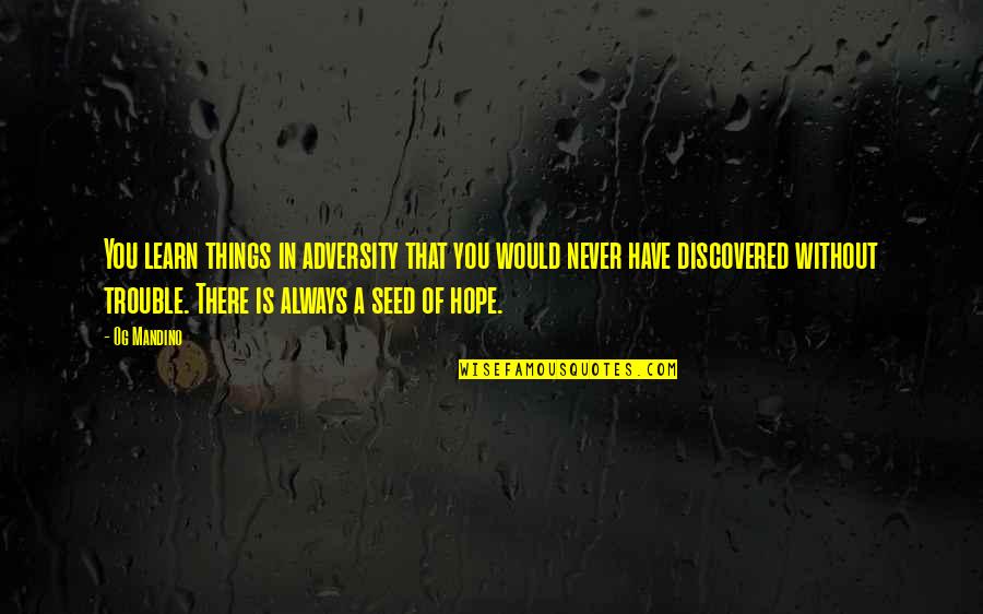 Anissa Meksen Quotes By Og Mandino: You learn things in adversity that you would Anissa Meksen Quotes By Og Mandino: You learn things in adversity that you would