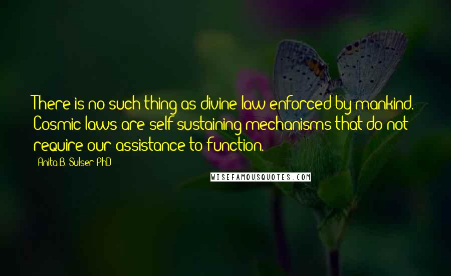 Anita B. Sulser PhD quotes: There is no such thing as divine law enforced by mankind. Cosmic laws are self-sustaining mechanisms that do not require our assistance to function.