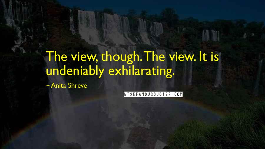 Anita Shreve quotes: The view, though. The view. It is undeniably exhilarating.