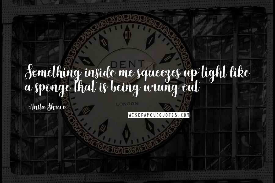Anita Shreve quotes: Something inside me squeezes up tight like a sponge that is being wrung out