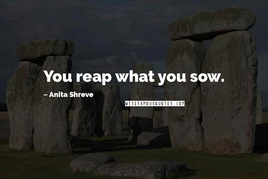 Anita Shreve quotes: You reap what you sow.