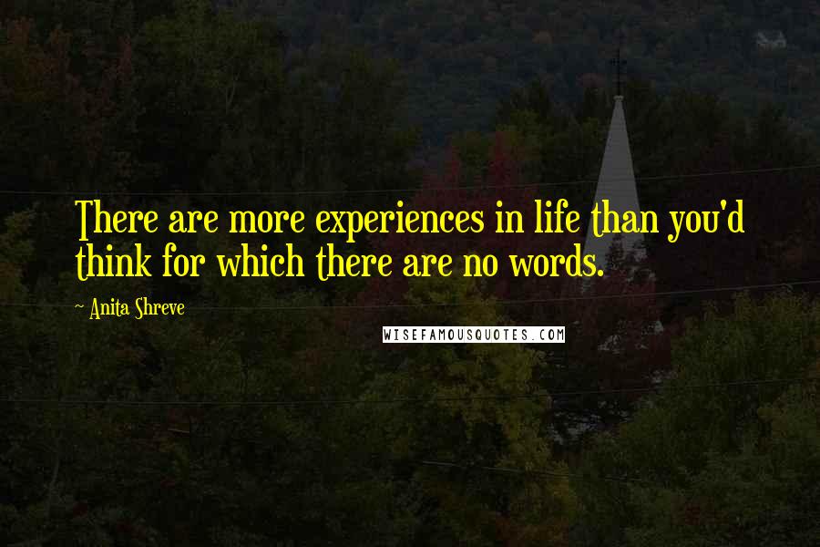 Anita Shreve quotes: There are more experiences in life than you'd think for which there are no words.