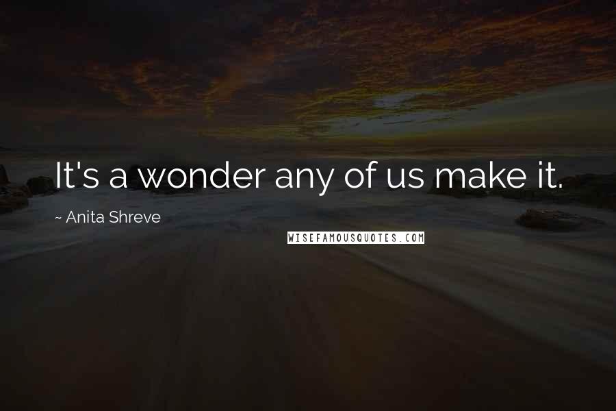 Anita Shreve quotes: It's a wonder any of us make it.