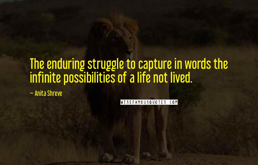 Anita Shreve quotes: The enduring struggle to capture in words the infinite possibilities of a life not lived.