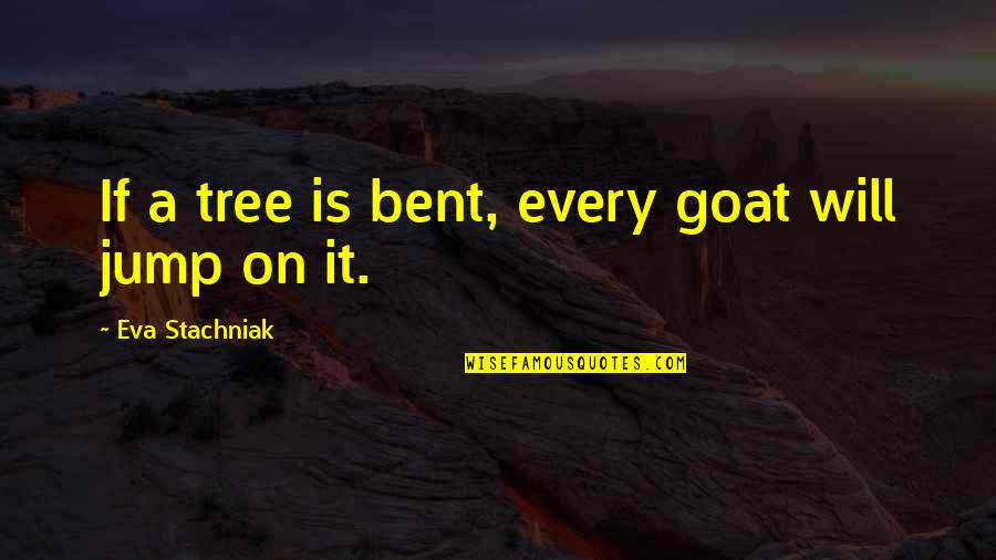 Anja Andersen Quotes By Eva Stachniak: If a tree is bent, every goat will Anja Andersen Quotes By Eva Stachniak: If a tree is bent, every goat will