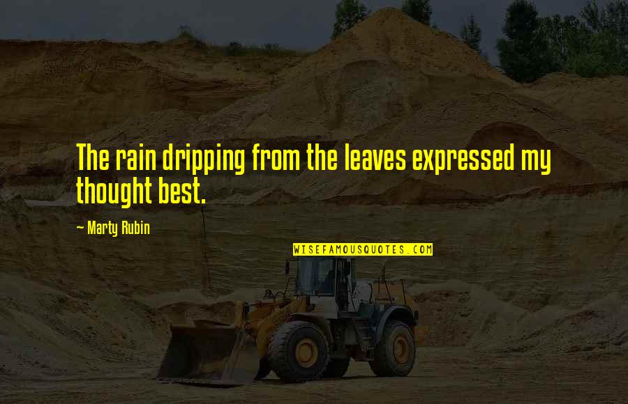 Anjaan Movie Quotes By Marty Rubin: The rain dripping from the leaves expressed my