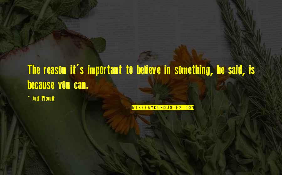 Anjaana Anjaani Movie Quotes By Jodi Picoult: The reason it's important to believe in something,