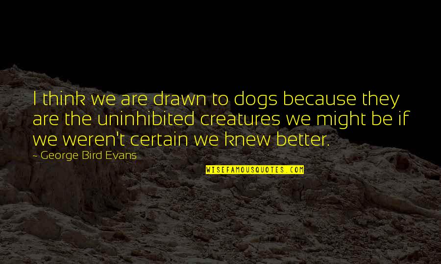 Anjala Tamil Quotes By George Bird Evans: I think we are drawn to dogs because