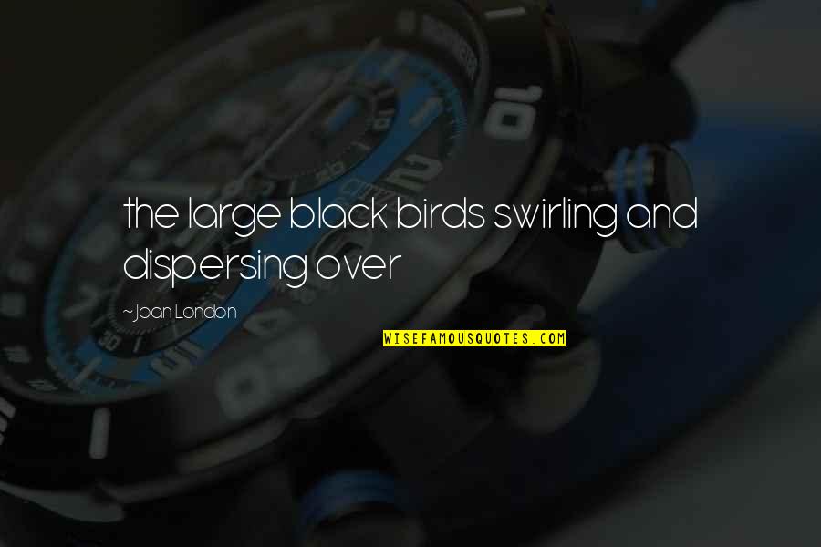 Anjani Joshi Quotes By Joan London: the large black birds swirling and dispersing over Anjani Joshi Quotes By Joan London: the large black birds swirling and dispersing over
